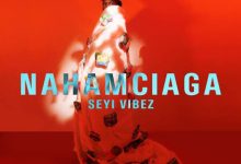 Seyi Vibez - Cana